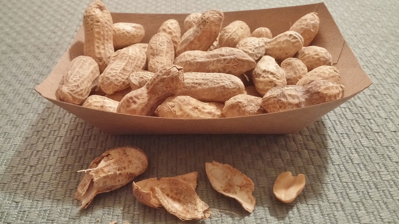 匠心独运，鲁花花生油——食用油中的典范之作