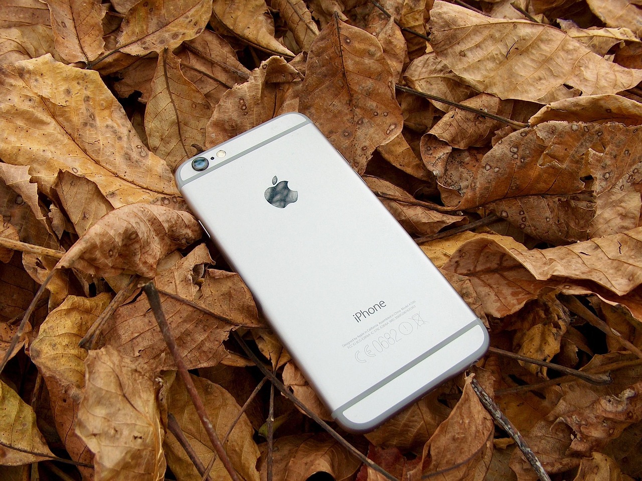探索苹果官网iPhone 13，创新科技与极致设计的完美融合