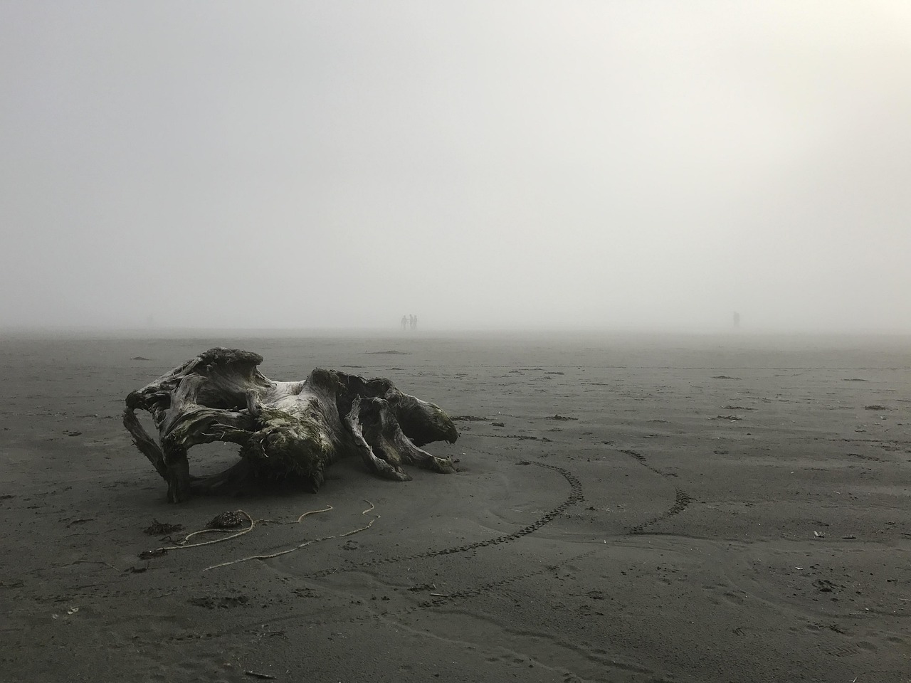 苹果7与苹果8，一次科技跃进的对比分析